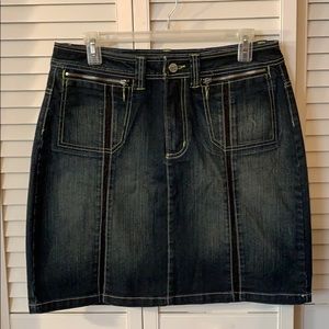 Luxury Blues Denim Skirt